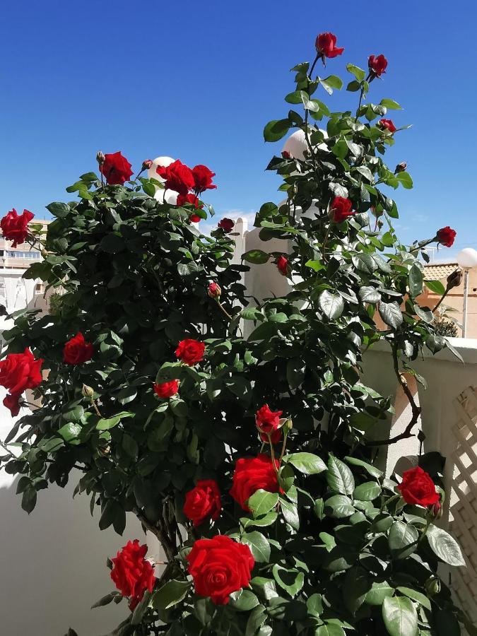 Costamar Playa Arenales Del Sol 아파트 외부 사진